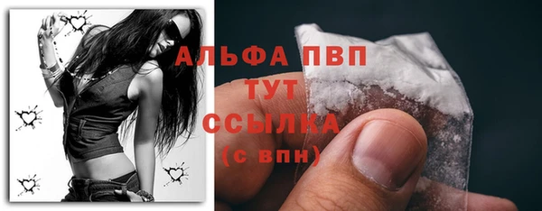 прущие крисы Вяземский