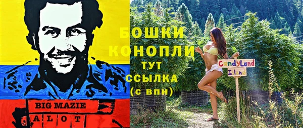 мдпв Горняк