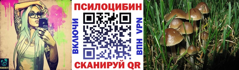 omg tor  Калязин  Галлюциногенные грибы Psilocybine cubensis 